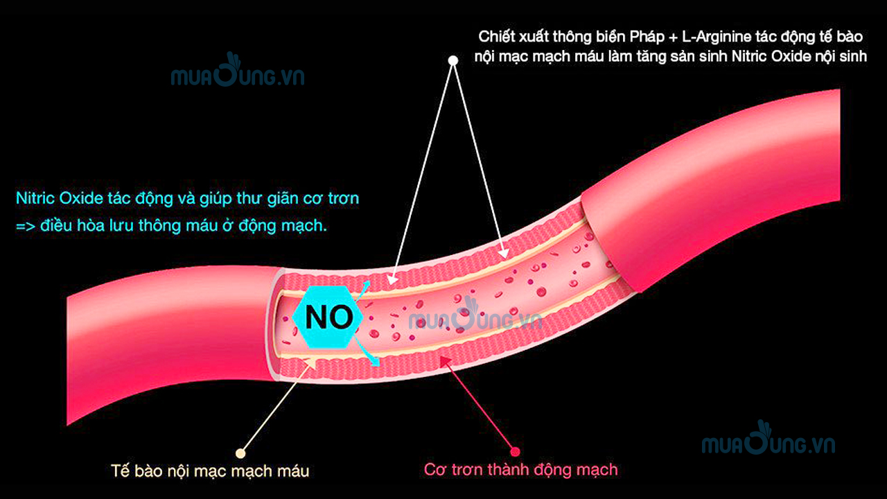 NITRIC OXIDE