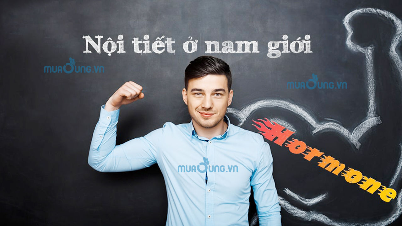 nội tiết tố nam
