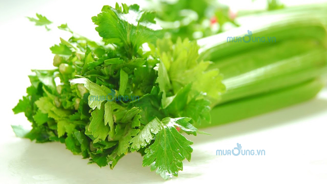 nước cần tây