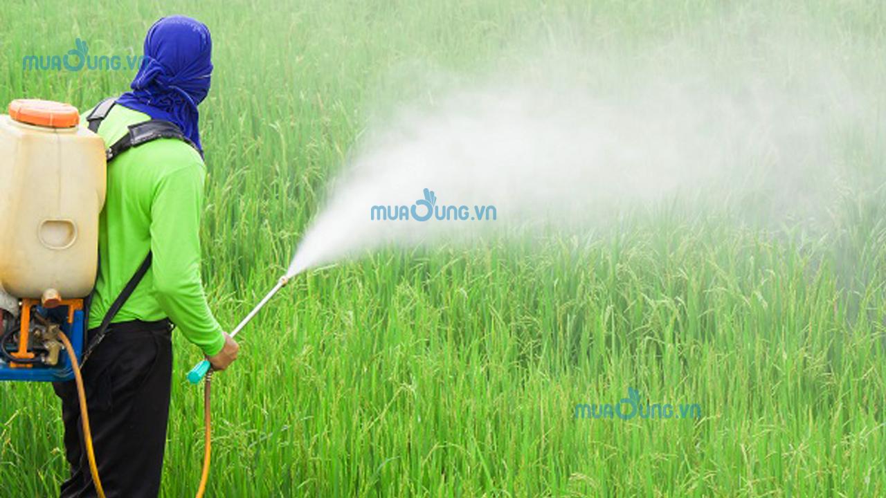 Mặt Nạ phun thuốc trừ sâu bảo vệ tốt nhất