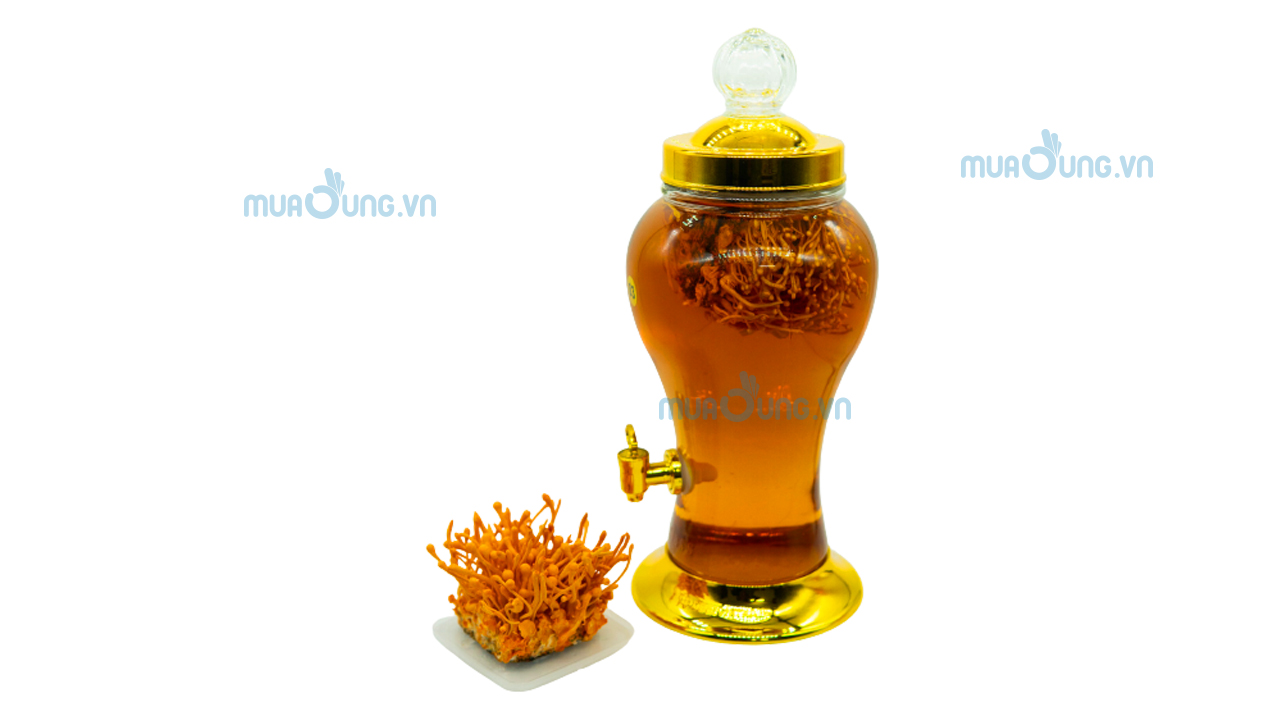 Đông trùng hạ thảo ngâm rượu.