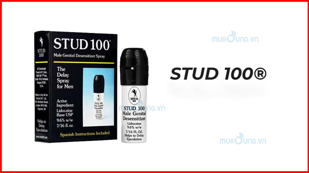 STUD 100