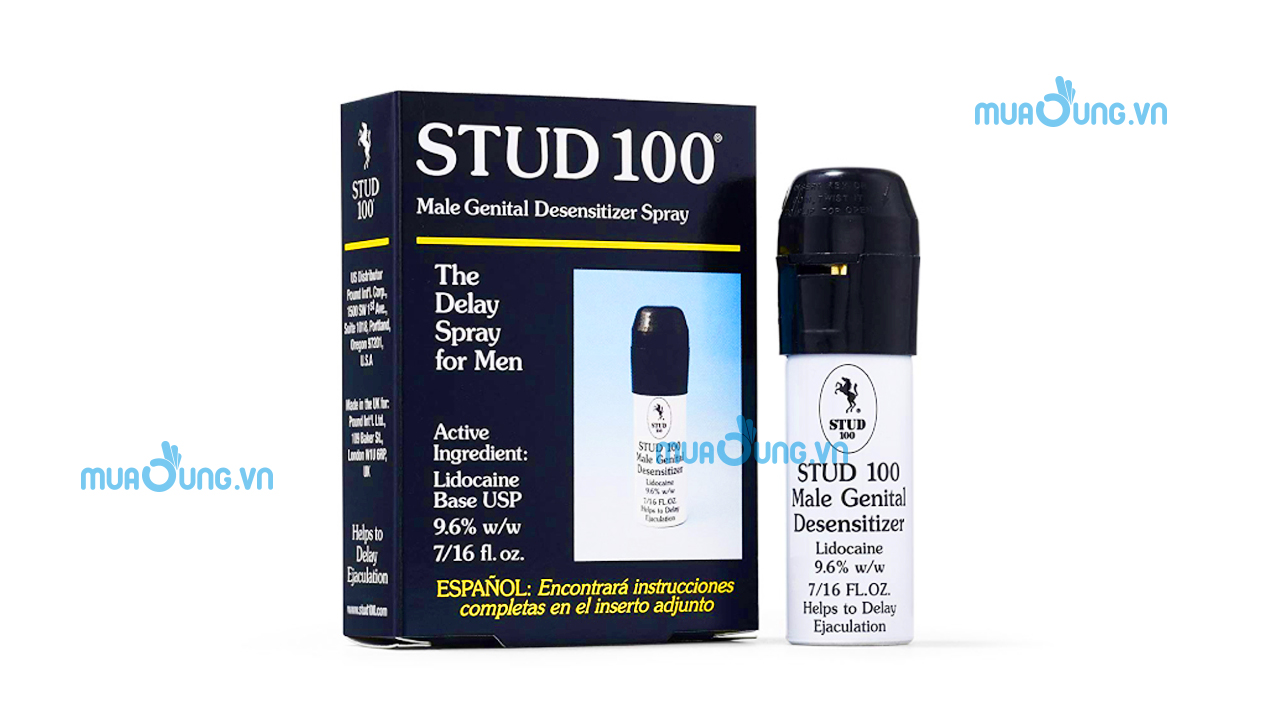 stud 100