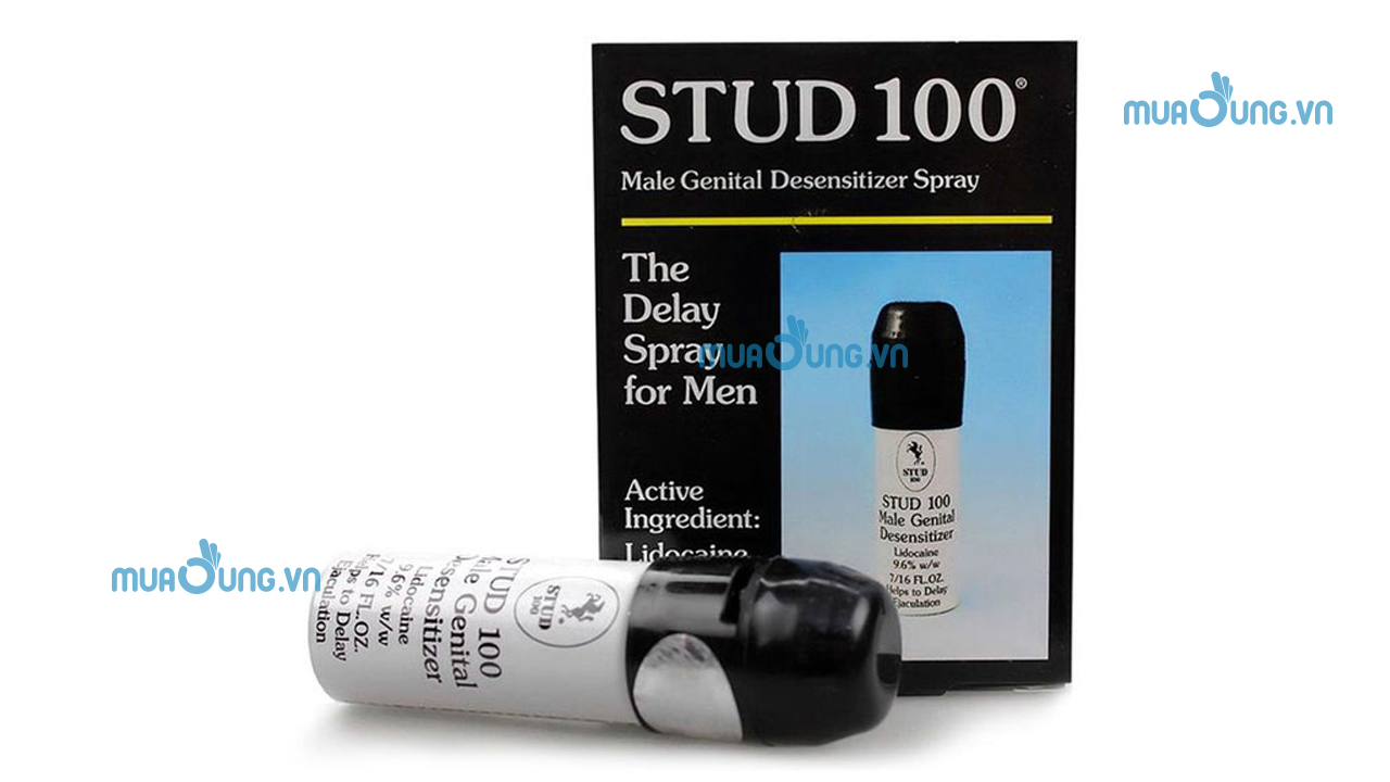 stud 100