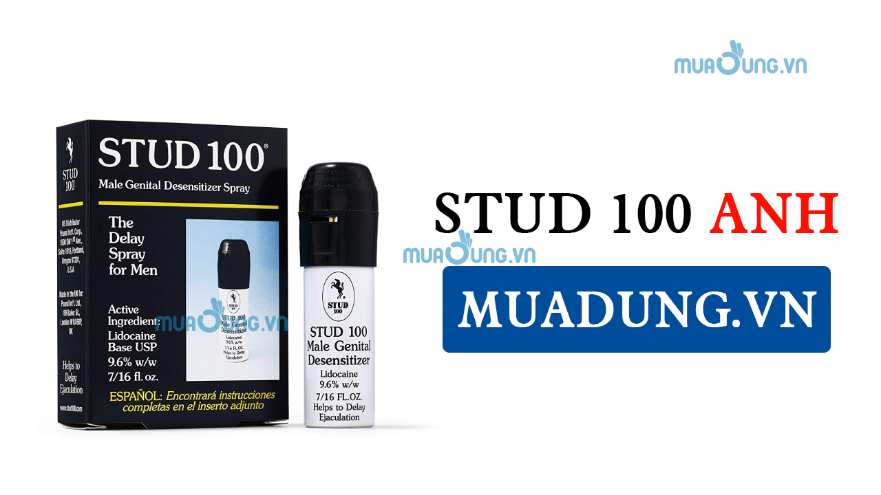 STUD 100