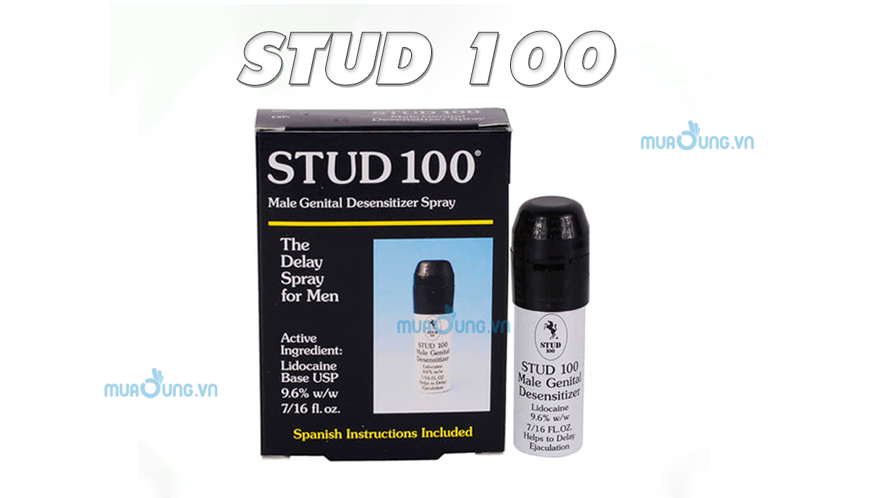 STUD 100 ANH