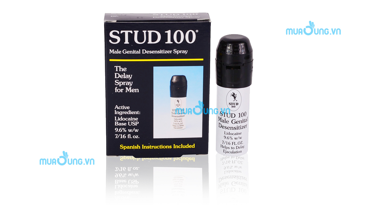 stud 100 anh