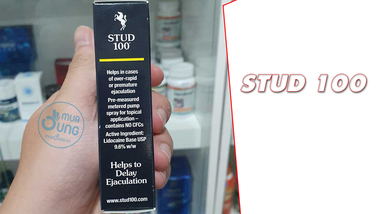 STUD 100 CHÍNH HÃNG
