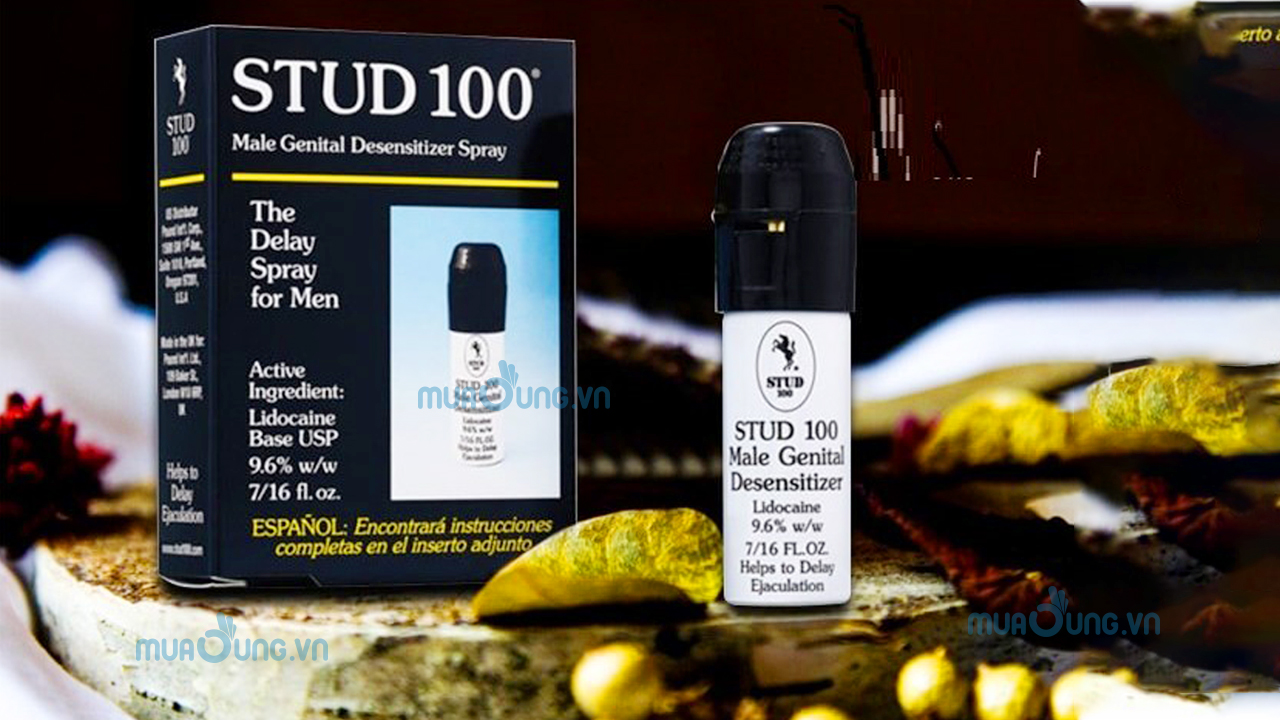 STUD 100
