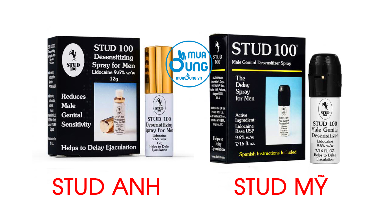 STUD 100