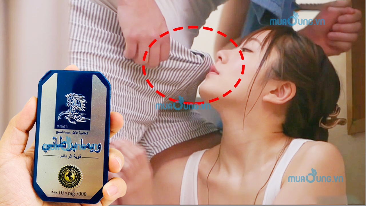 Tác dụng thuốc cường dương ngựa thái