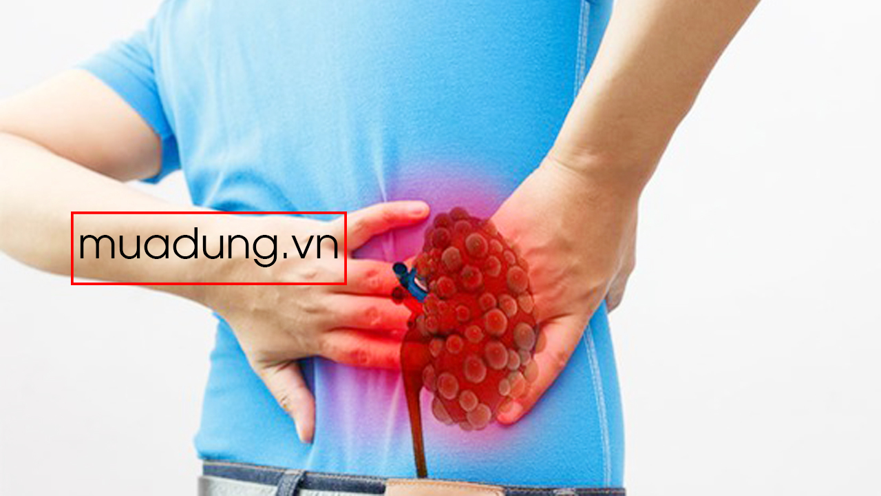 thận yếu