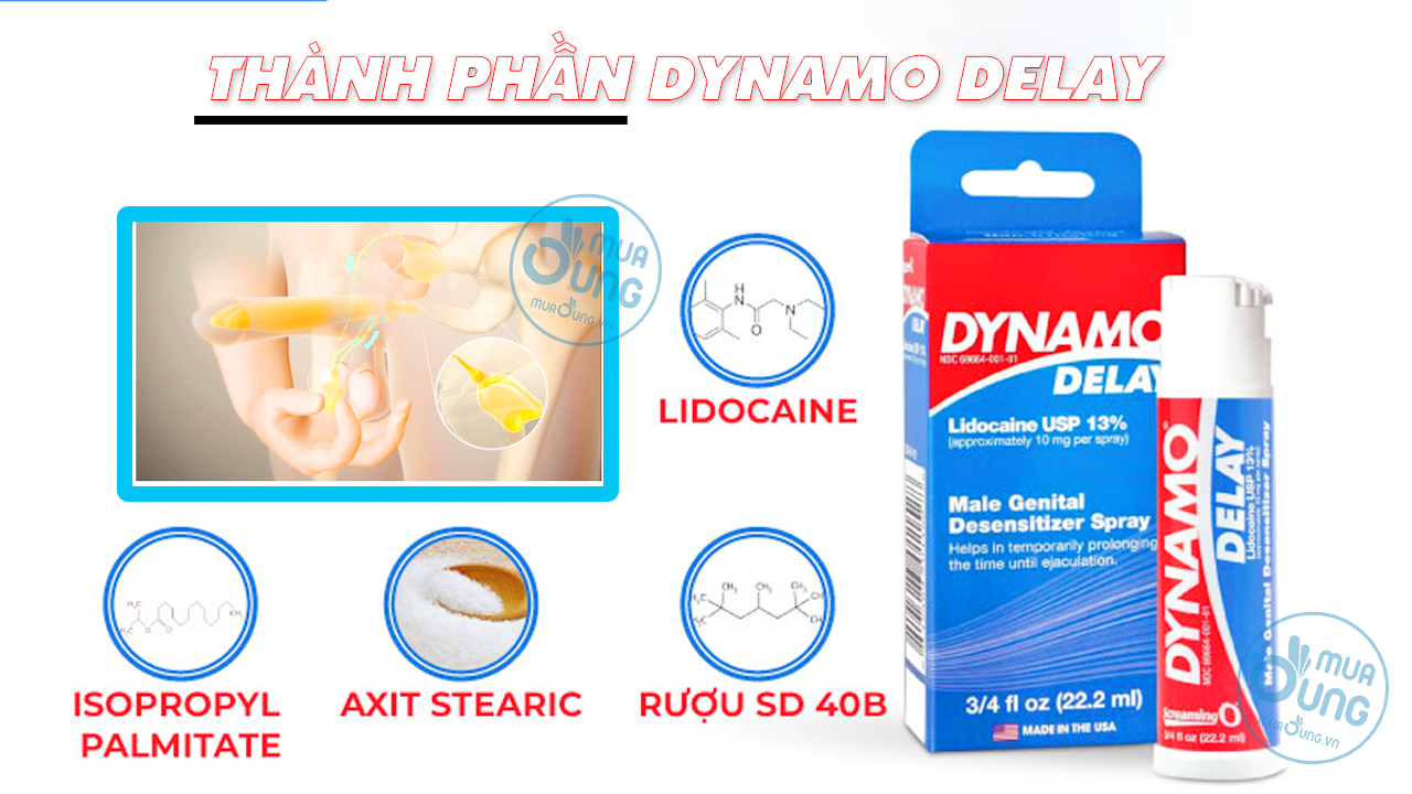 THÀNH PHẦN DYNAMO DELAY
