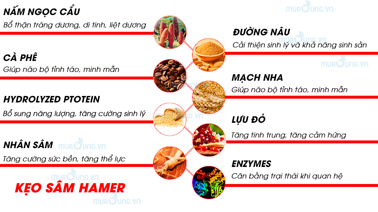 thành phần kẹo sâm hamer