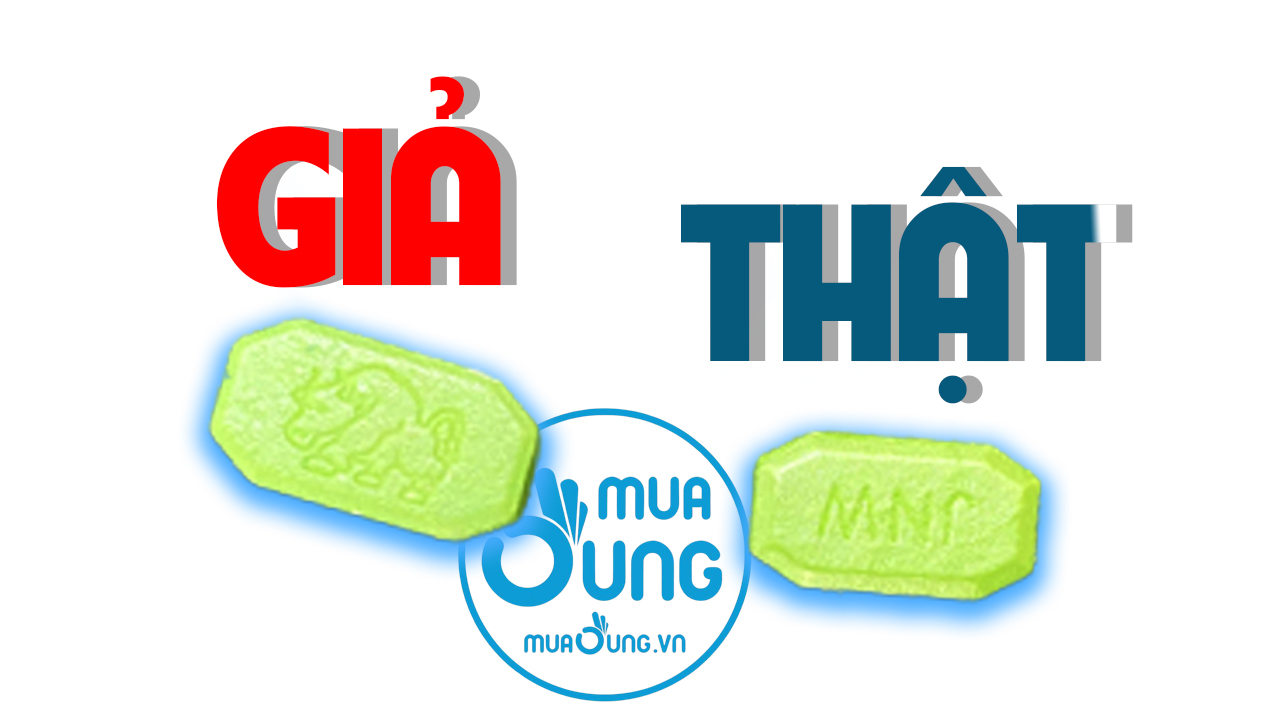 NGỰA THÁI THẬT GIẢ