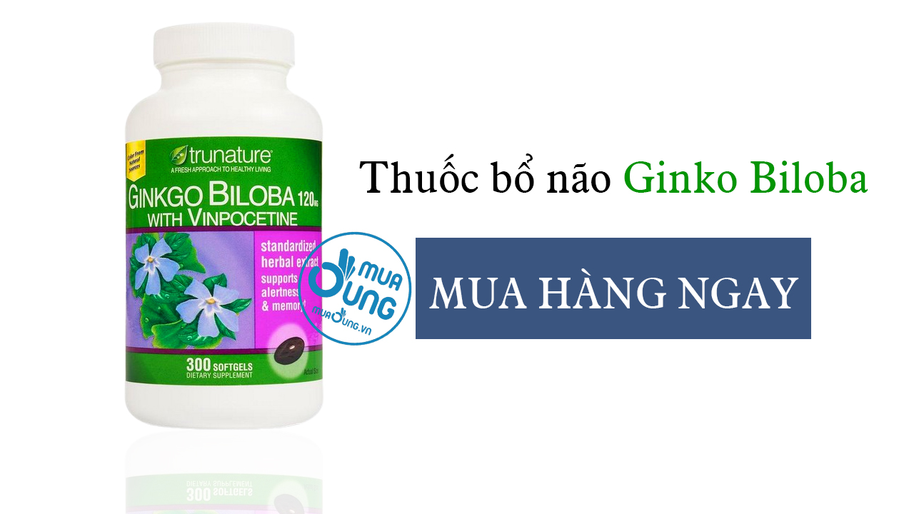 Thuốc bổ não Ginko Biloba