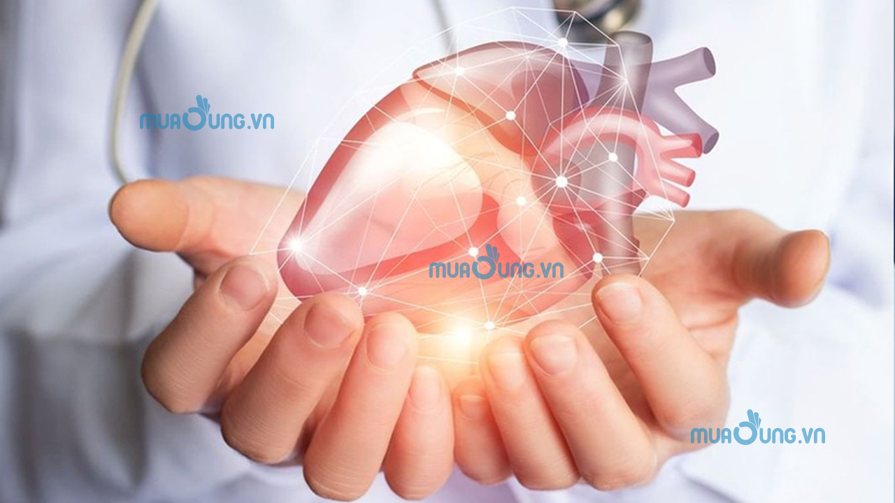 TIM KHỎE MẠNH