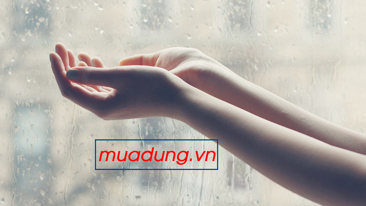 tĩnh lặng
