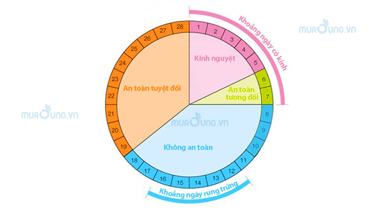 Tính ngày rụng trứng để tránh thai chính xác nhất bằng cách tính chu kỳ kinh nguyệt