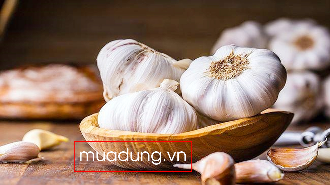 tỏi