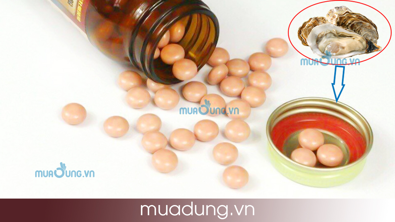 TINH CHẤT HÀU TƯƠI ORIHIRO