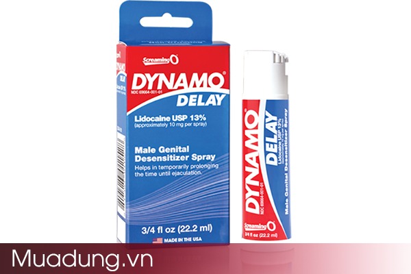 Dynamo delay