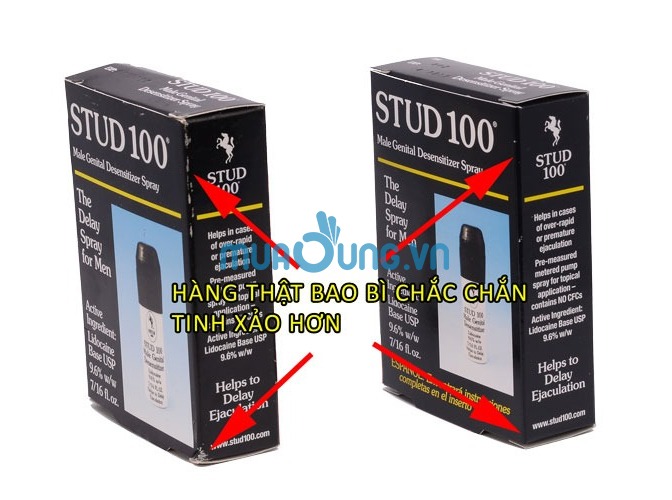 Thật giả stud 100