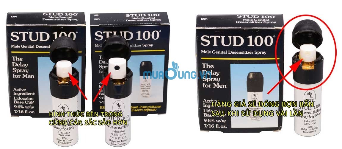 Thật giả stud 100