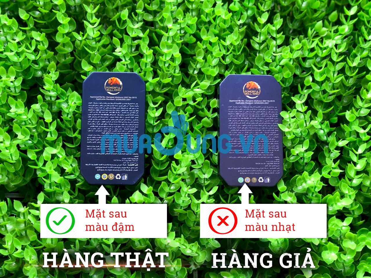Thuốc cường dương ngựa thái