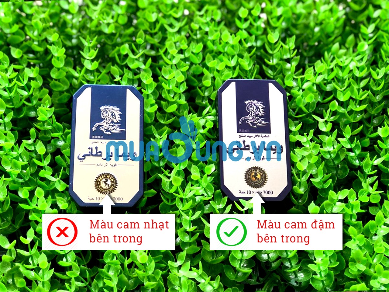 Qua màu sắc