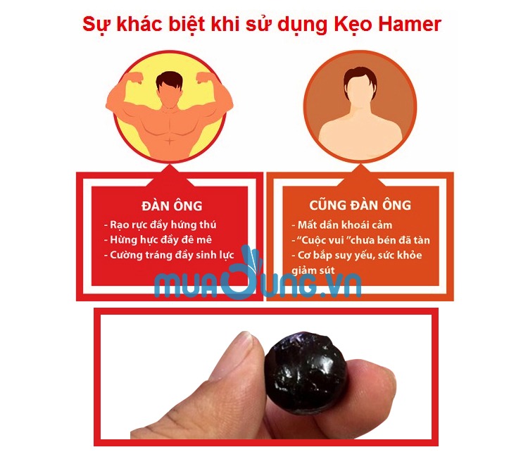 Kẹo sâm hamer