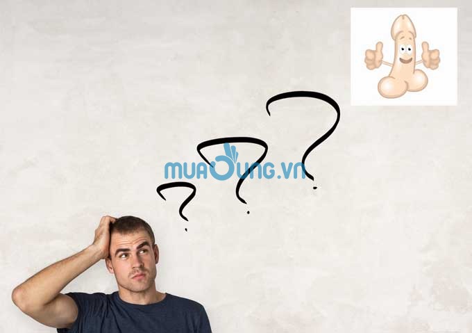 kích thước dương vật