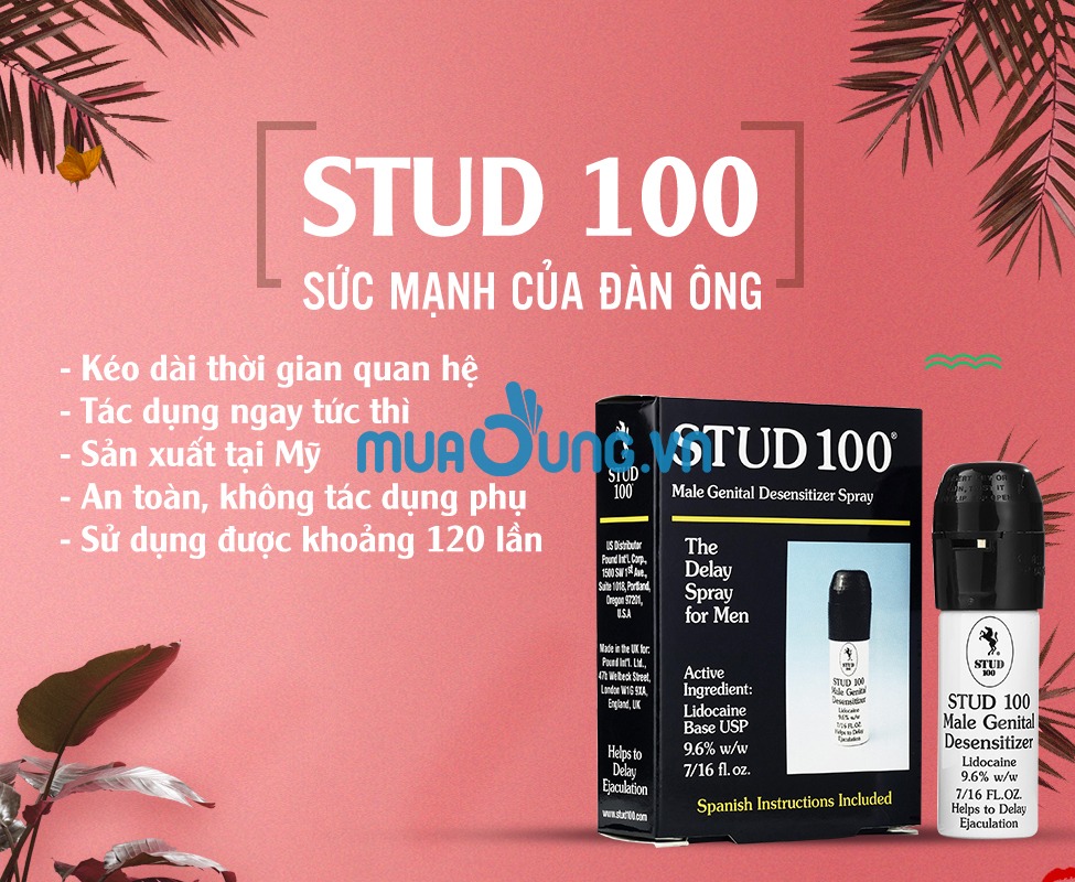 CHAI XỊT STUD 100