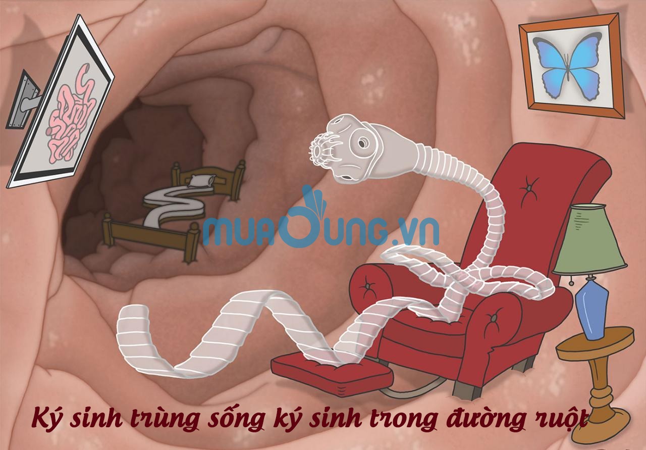 diệt ký sinh trùng