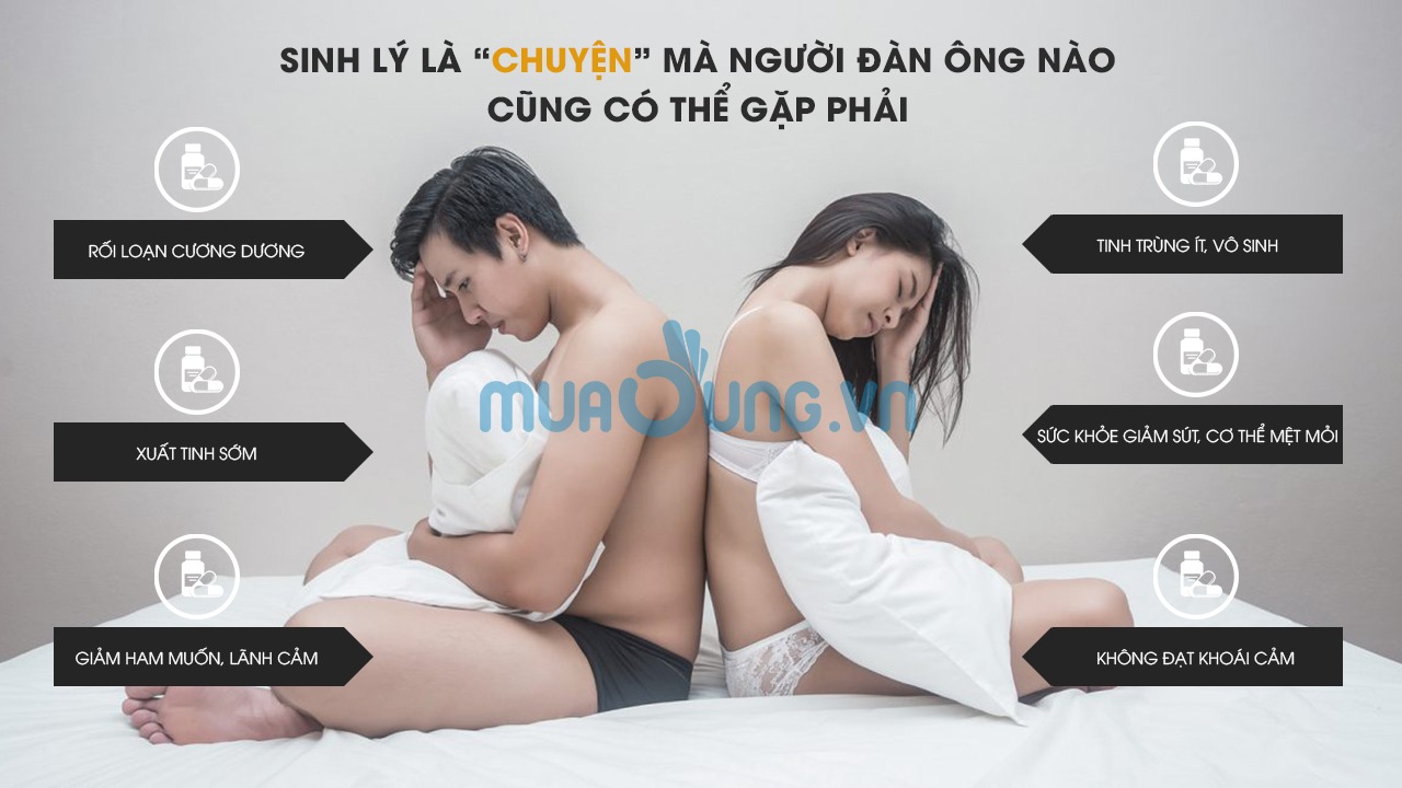 kẹo sâm hamer