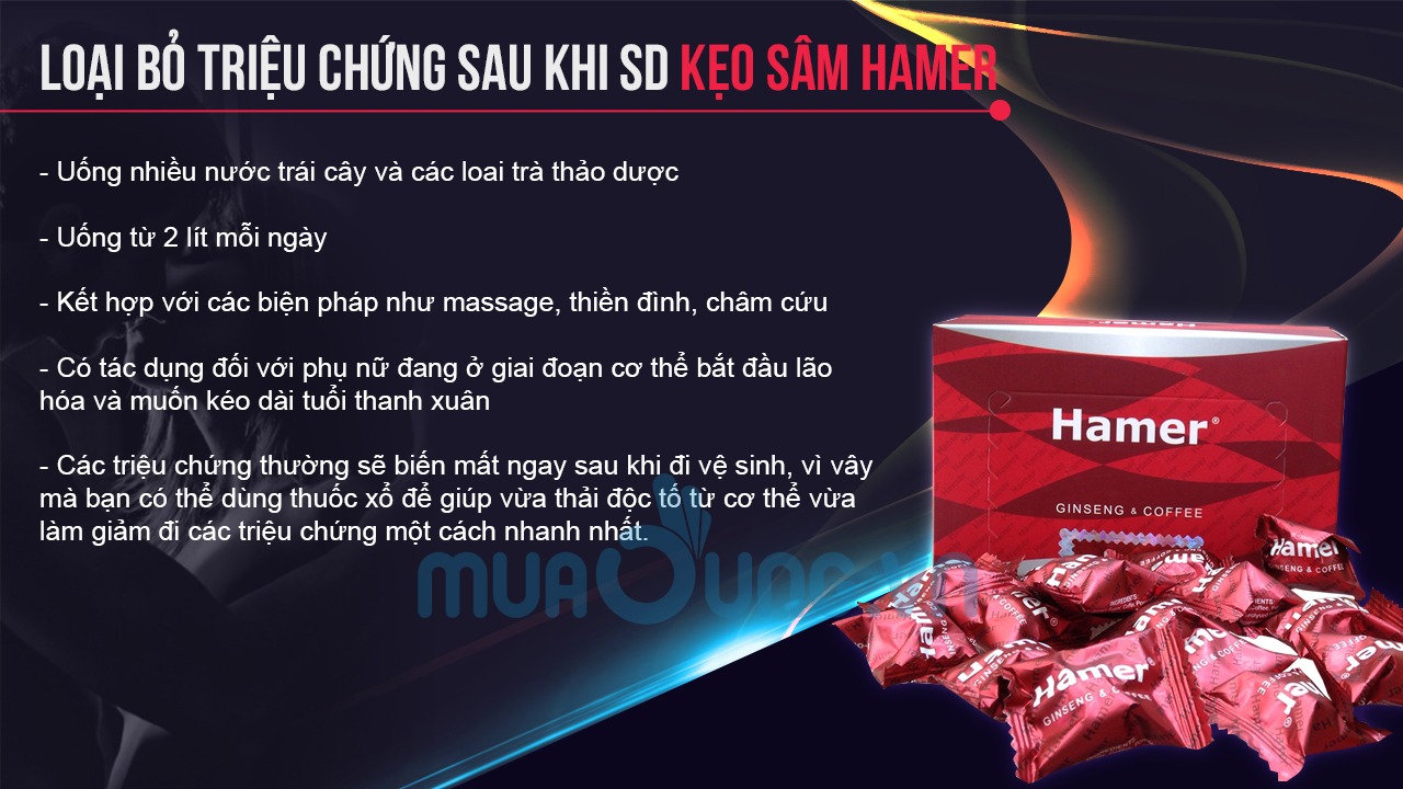 KẸO SÂM HAMER