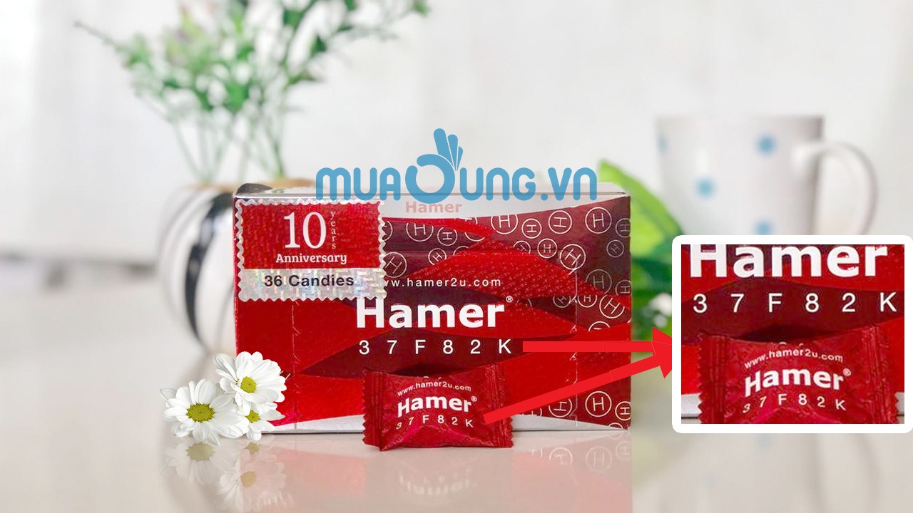 kẹo sâm hamer