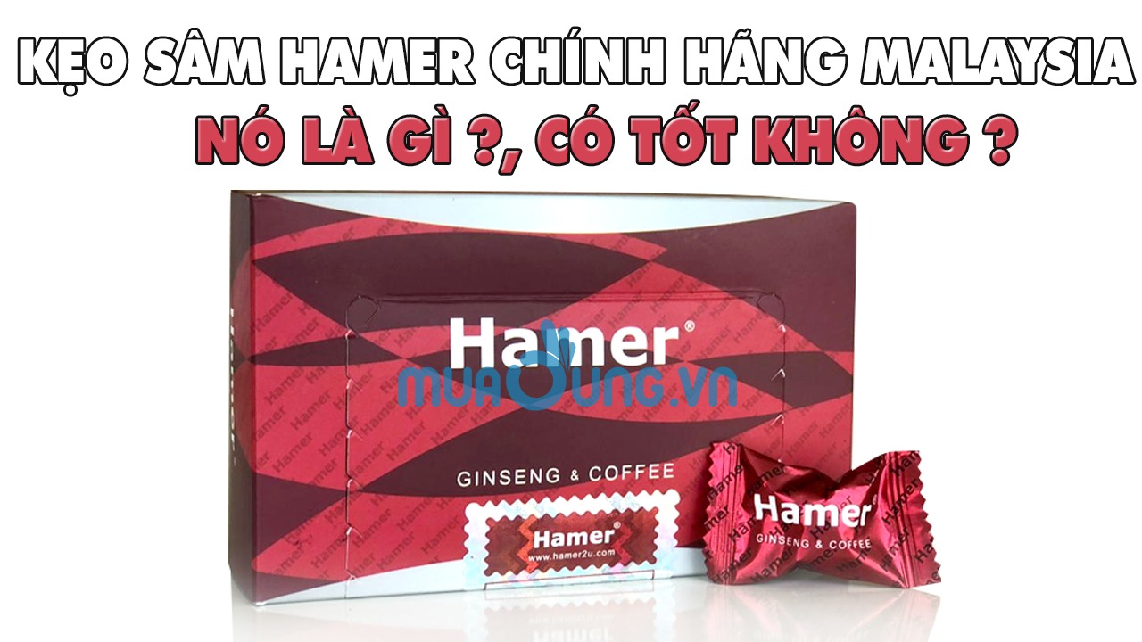 Kẹo sâm hamer