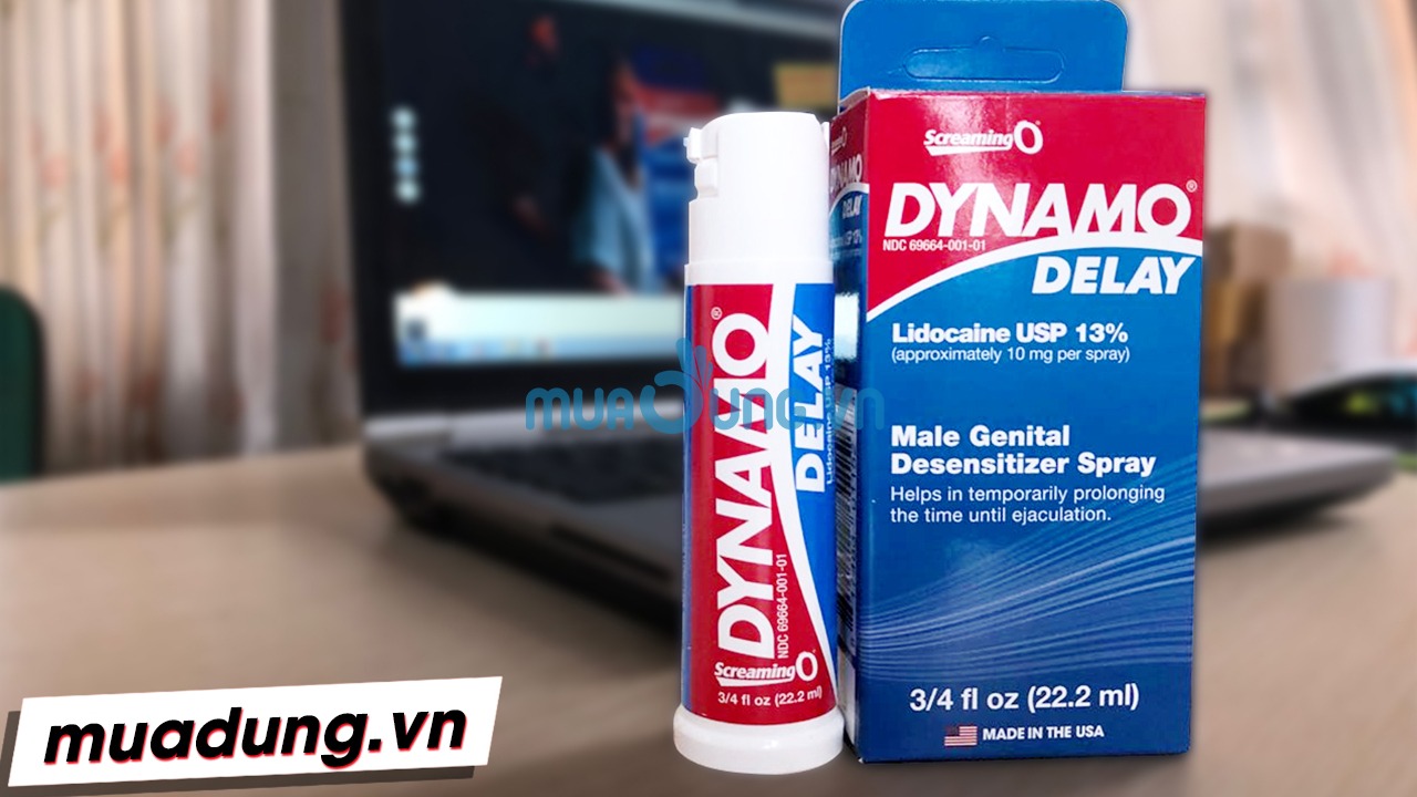 Dynamo delay