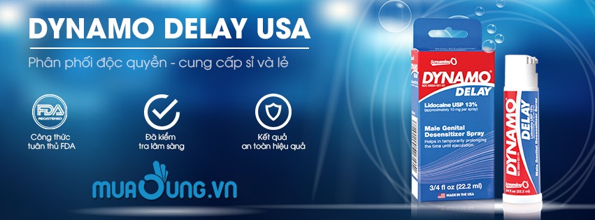 Dynamo delay