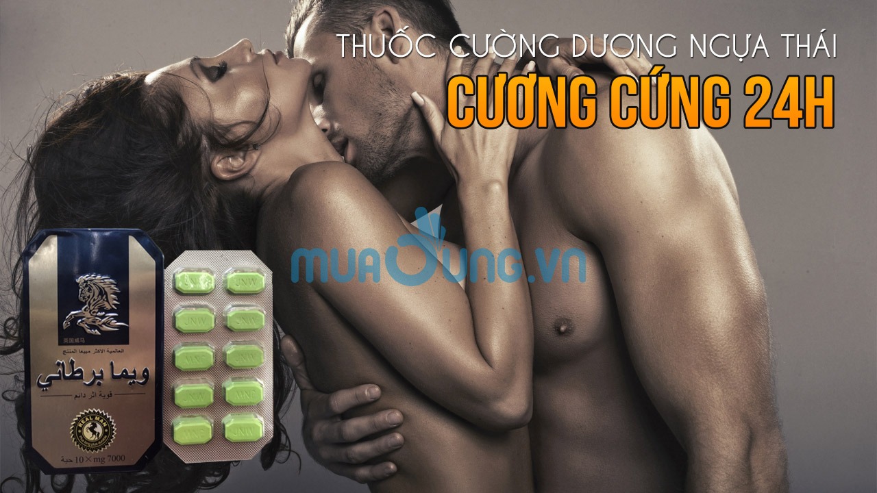 ngựa thái