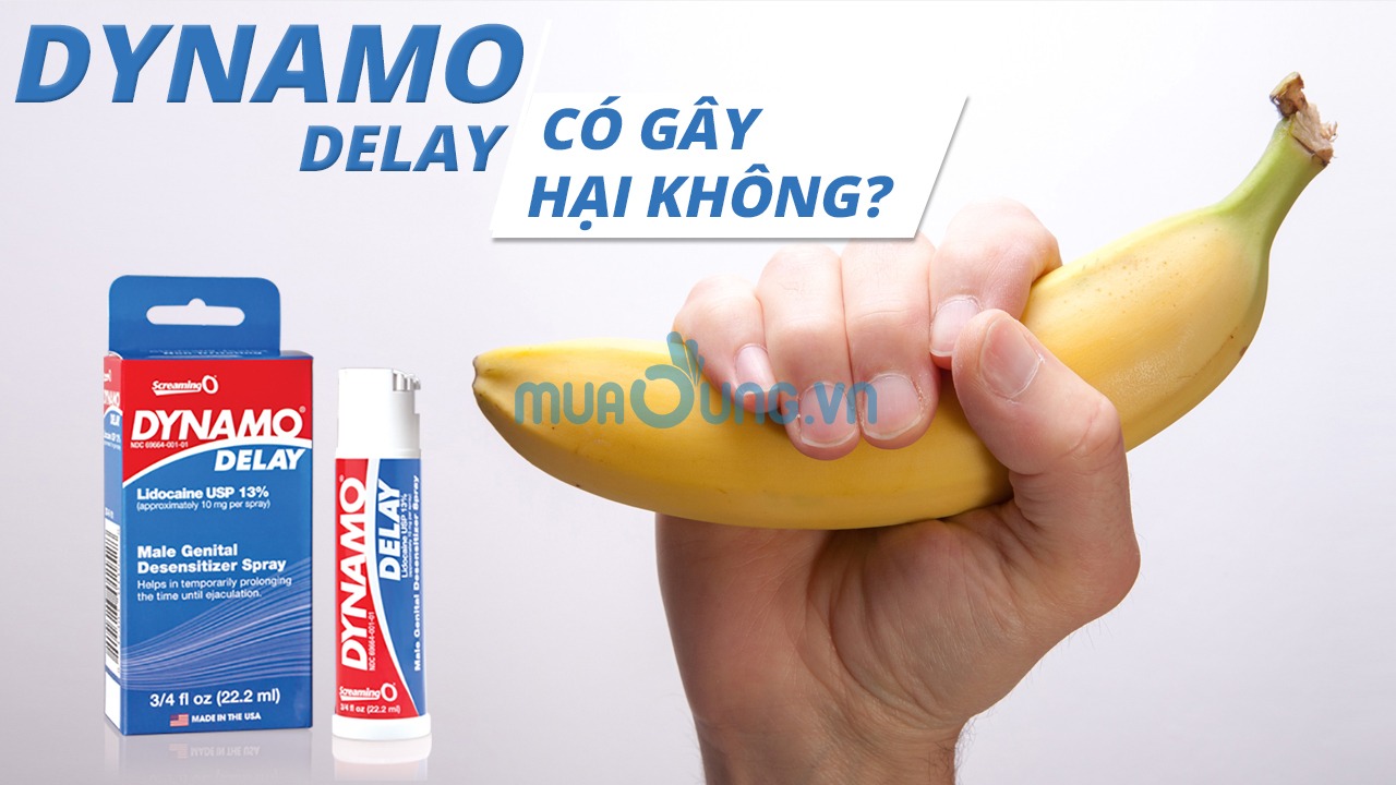 CHAI XỊT DYNAMO DEALY