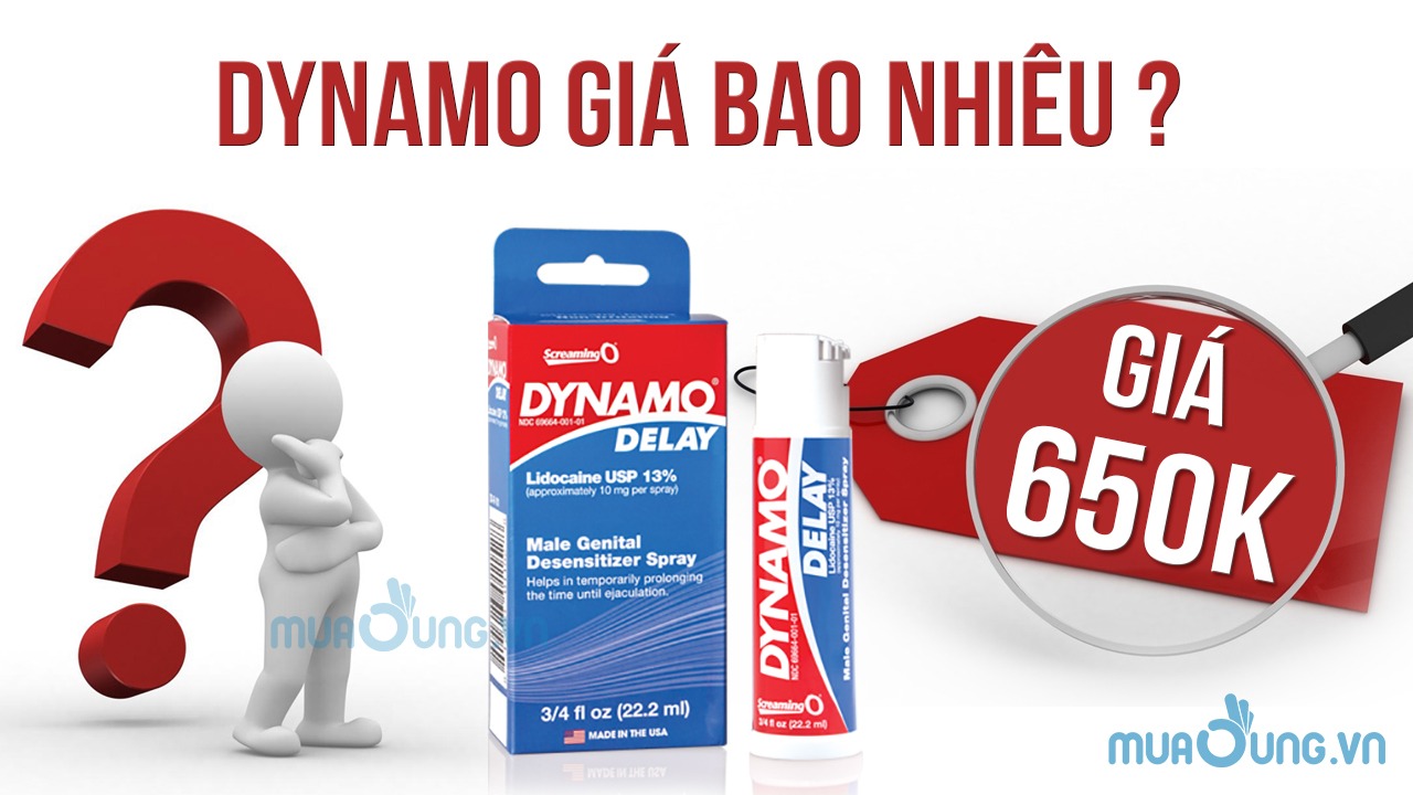 DYNAMO DELAY