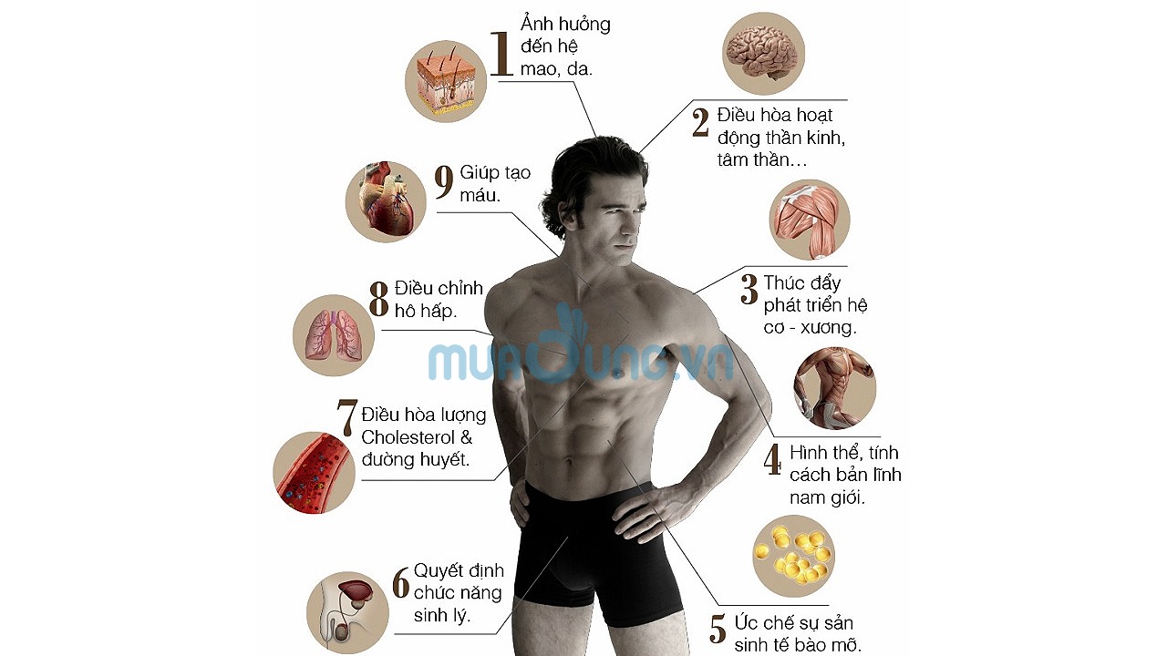 TESTOSTERONE