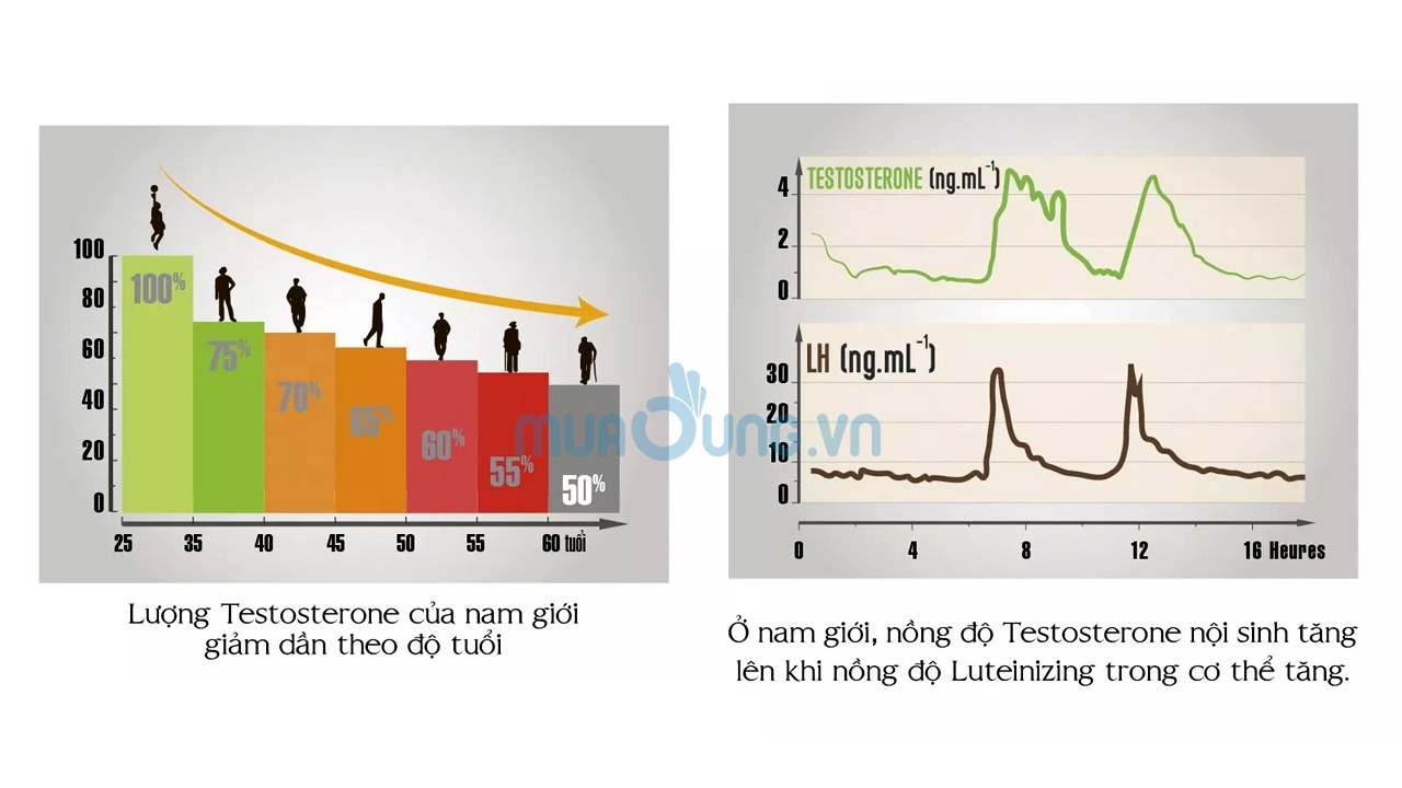 LUTEINIZING