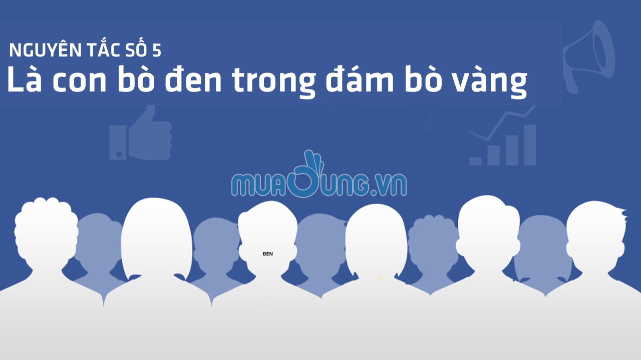 con bò vàng