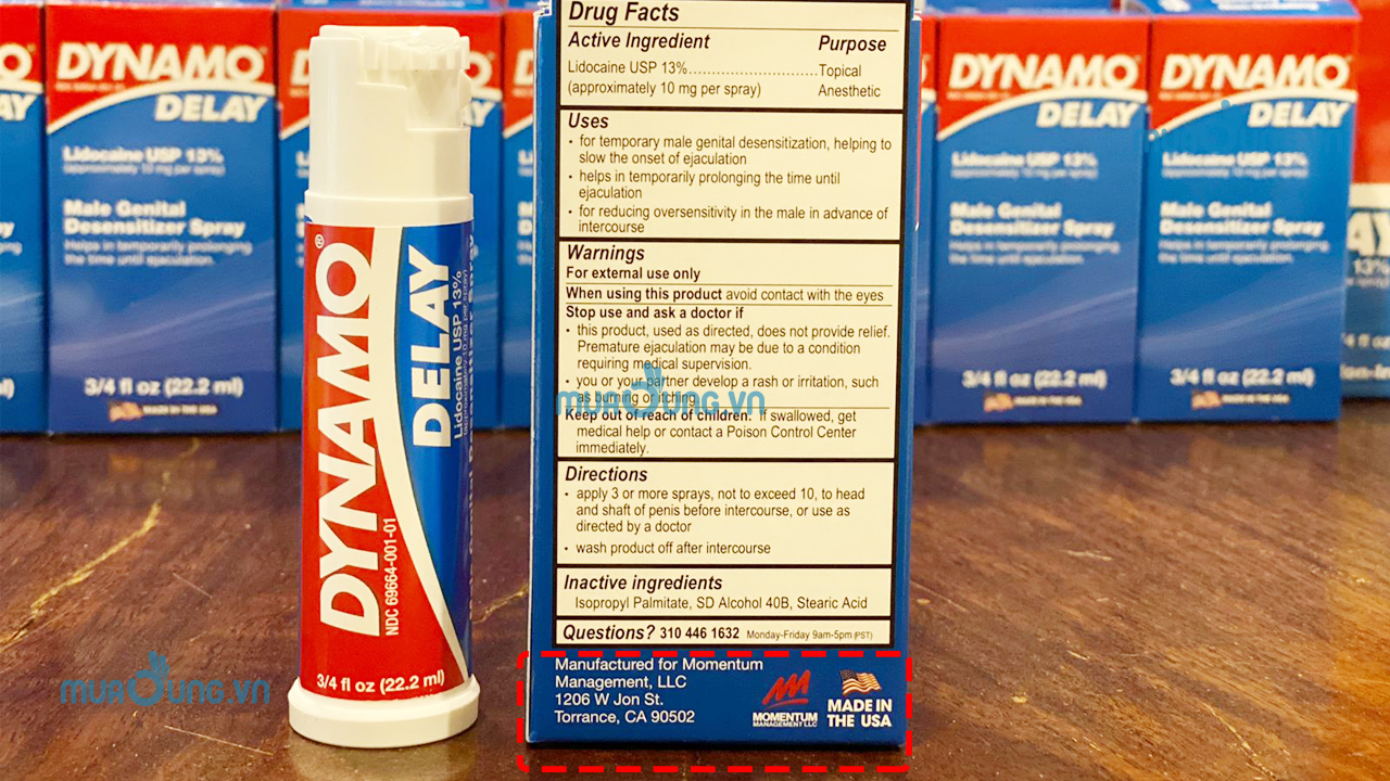 DYNAMO DELAY