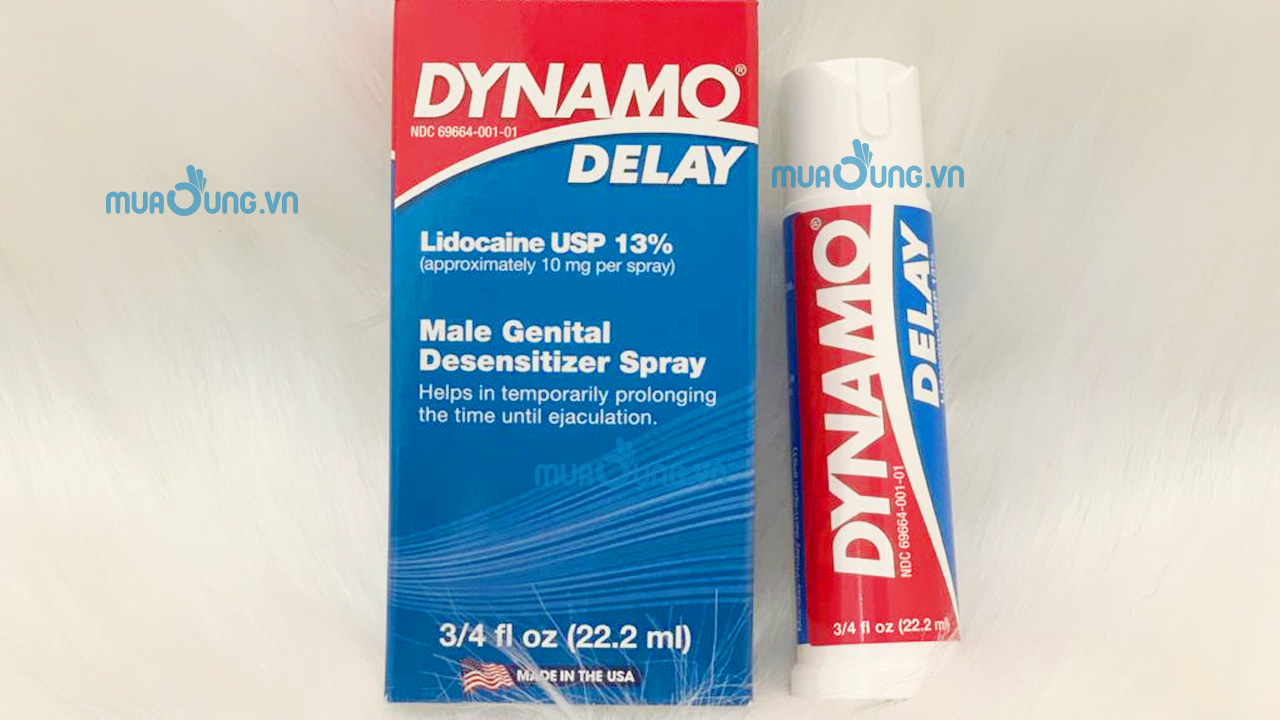 DYNAMO DELAY