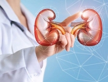 Hiểu về bổ thận tráng dương