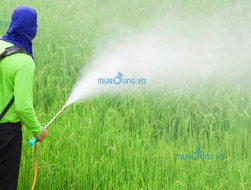 Mặt Nạ phun thuốc trừ sâu bảo vệ tốt nhất dành cho bạn